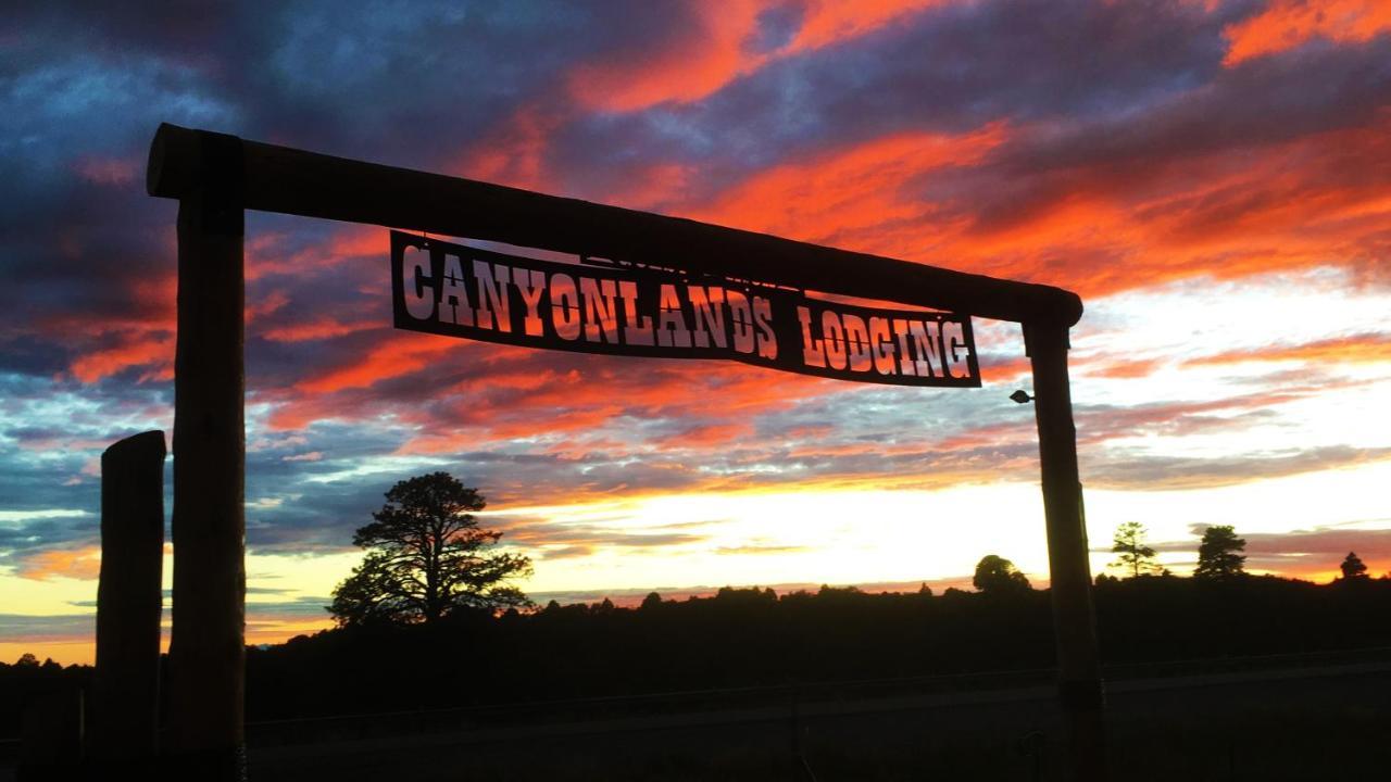 White Pine Cabin By Canyonlands Lodging Monticello Exteriör bild