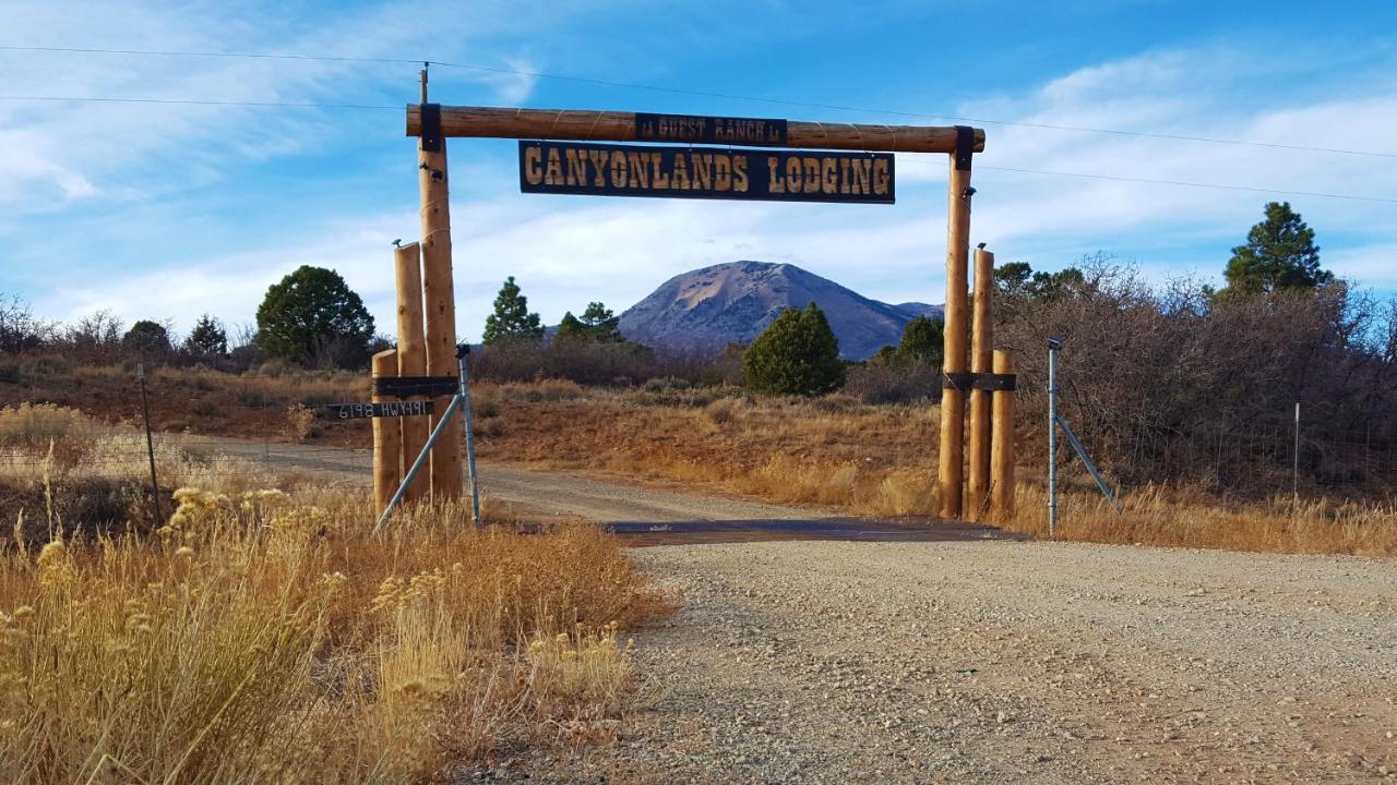 White Pine Cabin By Canyonlands Lodging Monticello Exteriör bild